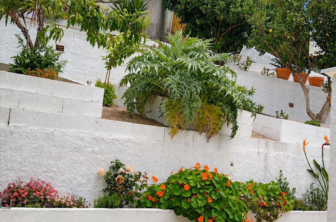 Photo of Outdoor in Arganil