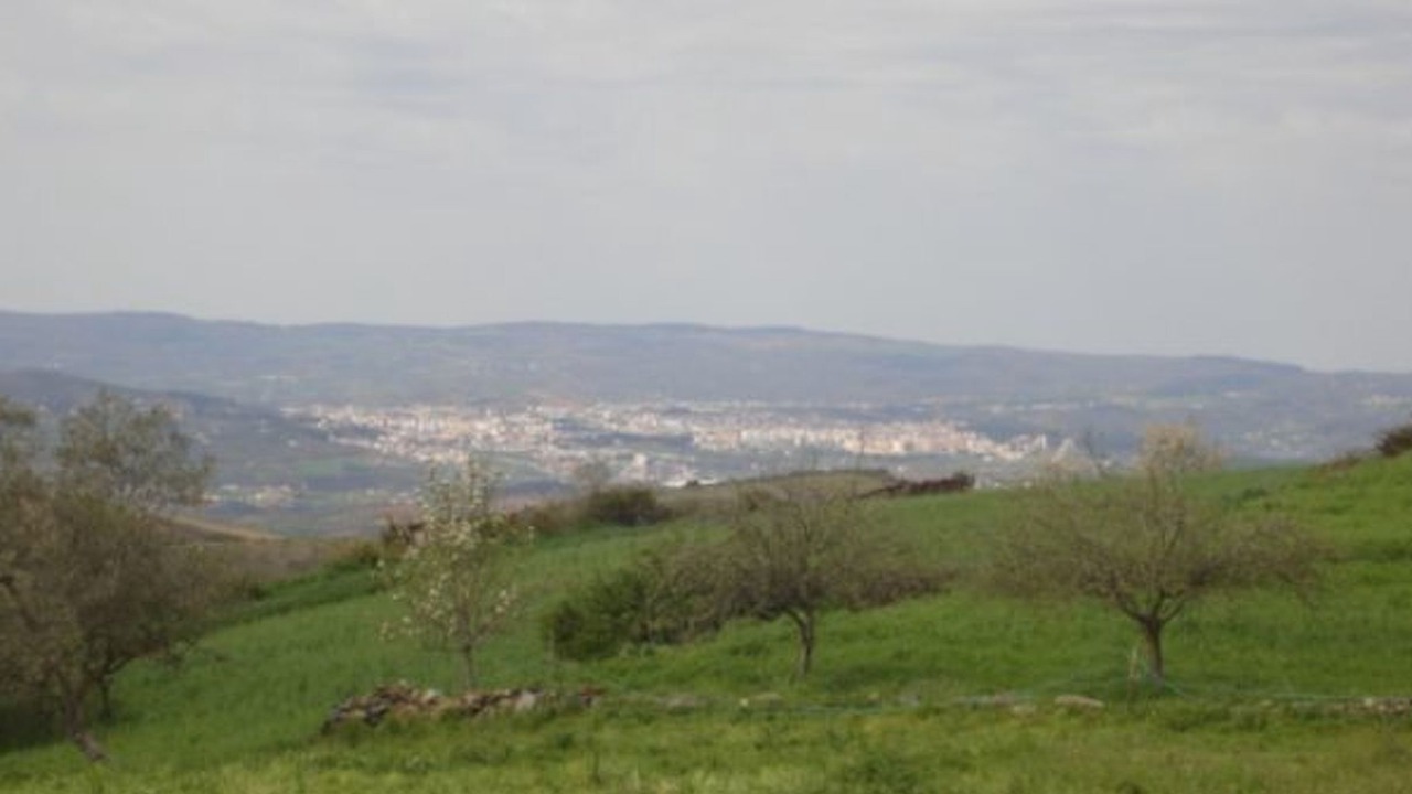 Photo of Others in Braganca