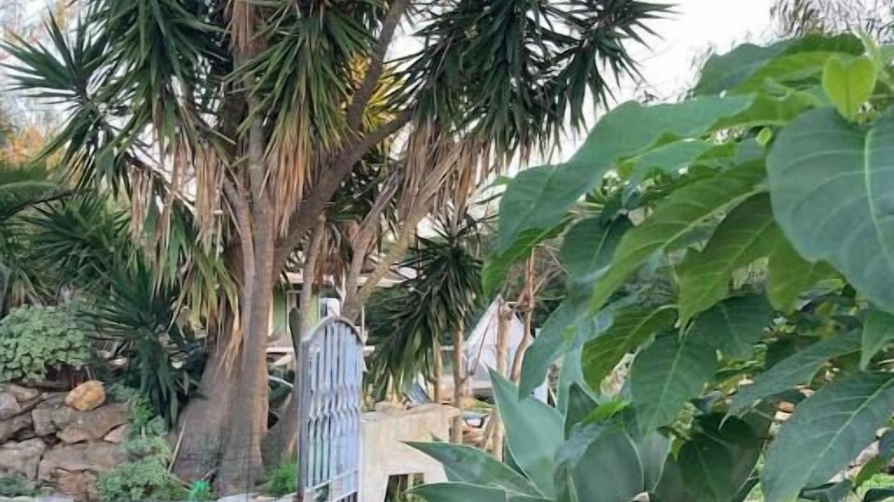 Photo of Outdoor in Olhao