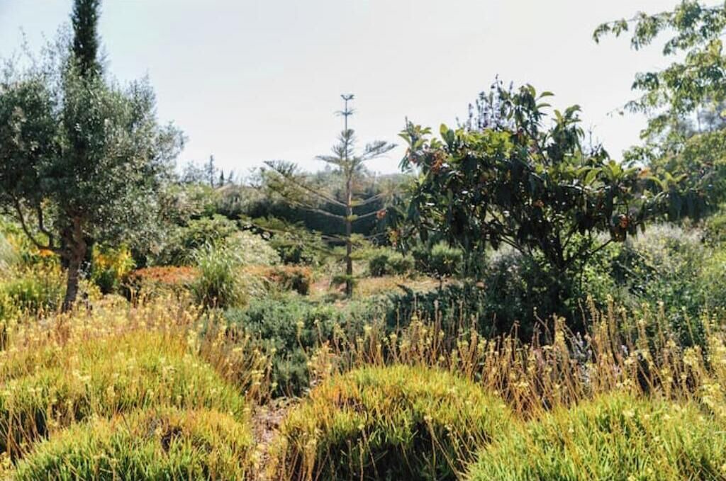 Photo of Outdoor in Olhao