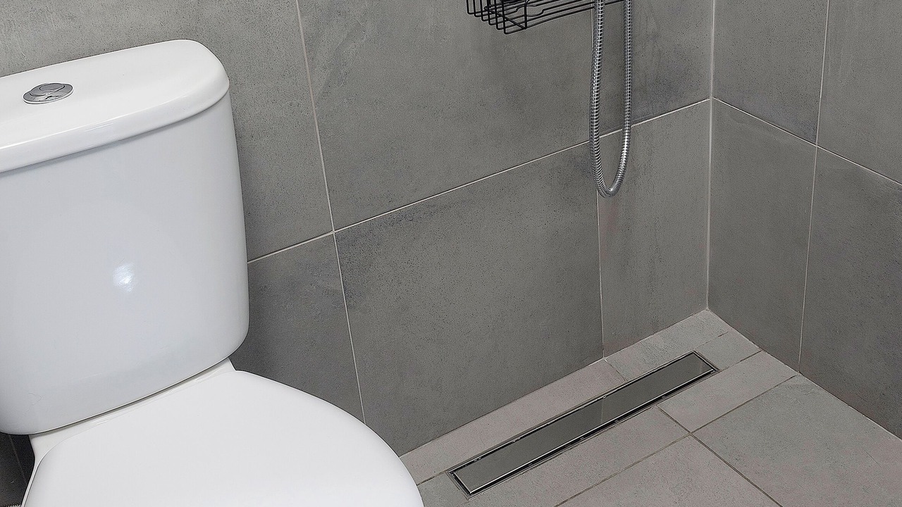 Photo of Bathroom in Paranhos