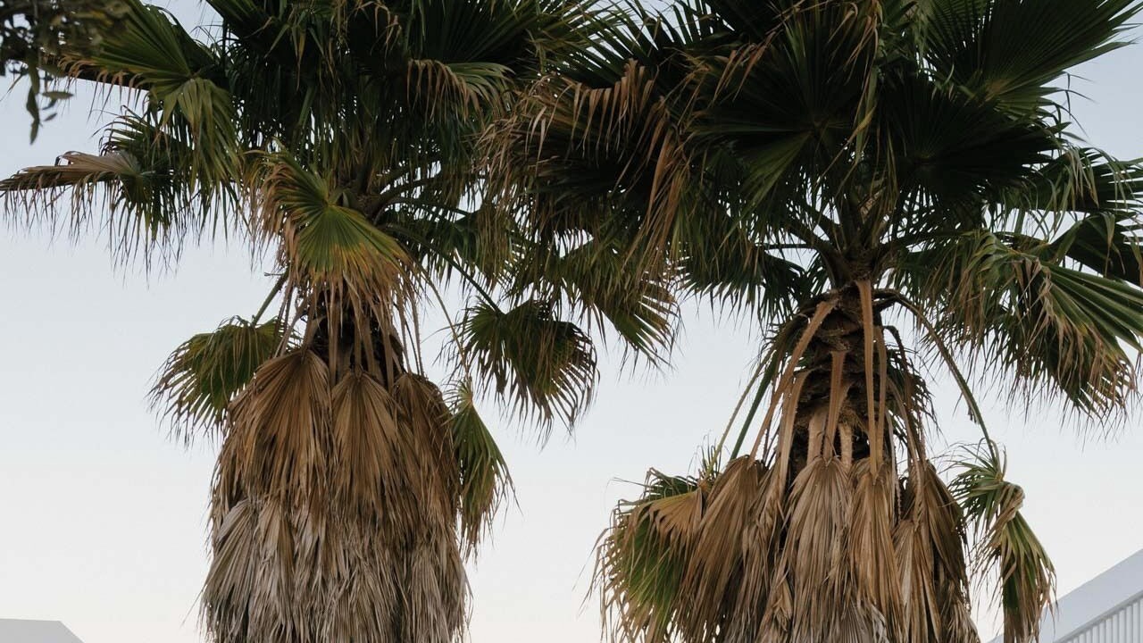 Photo of Outdoor in Fuseta