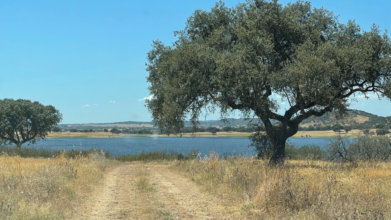 Photo of Others in Montemor-o-Novo