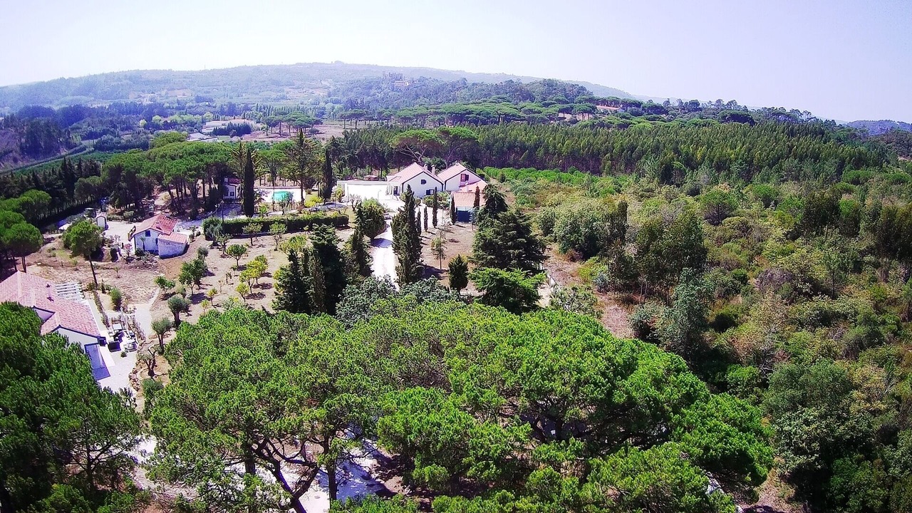 Photo of Outdoor in Obidos