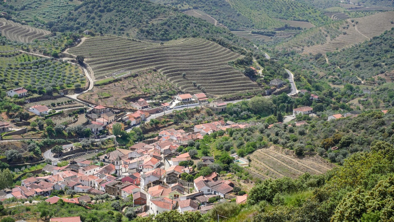 Photo of Outdoor in Vila Nova de Foz Coa