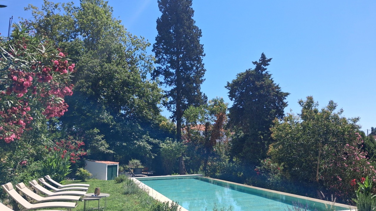 Photo of Outdoor in Sao Lourenco
