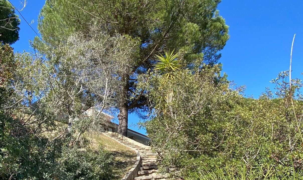 Photo of Outdoor in Vila Nogueira de Azeitao