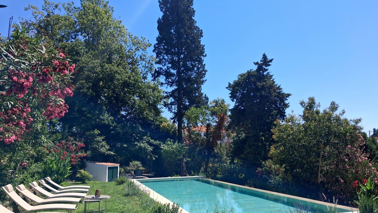 Photo of Outdoor in Sao Lourenco