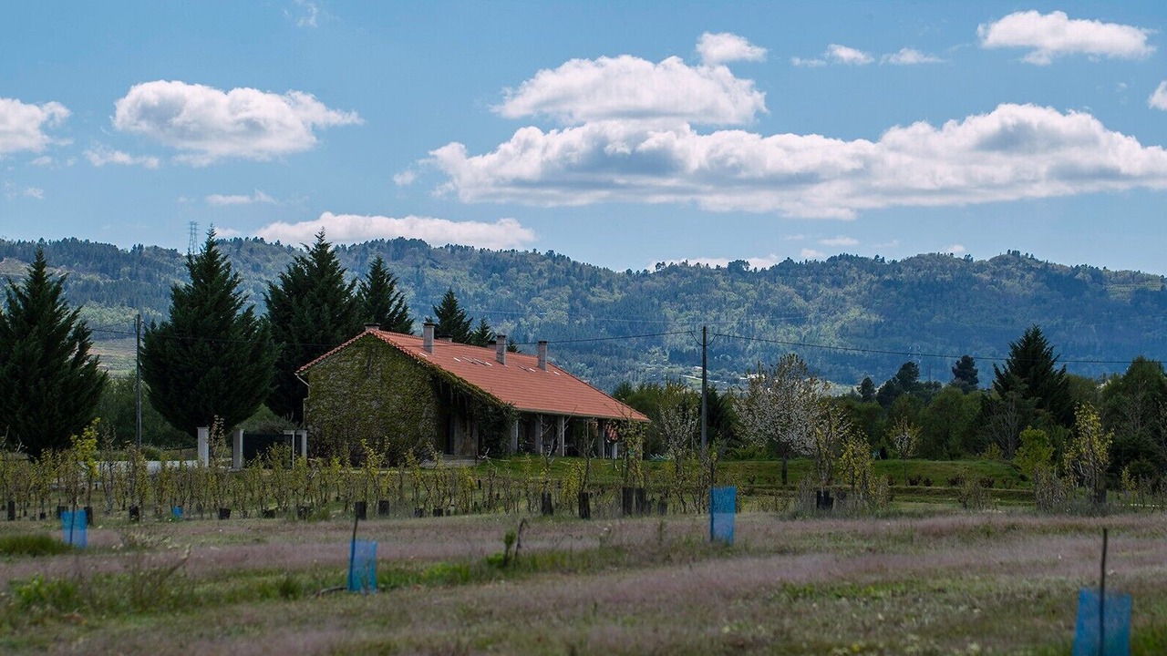 Photo of Others in Covilha