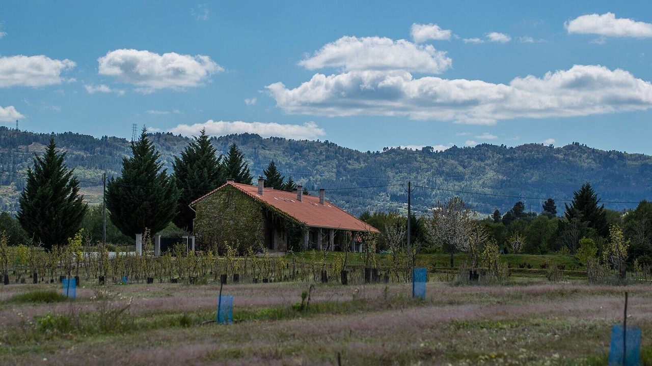 Photo of Others in Covilha