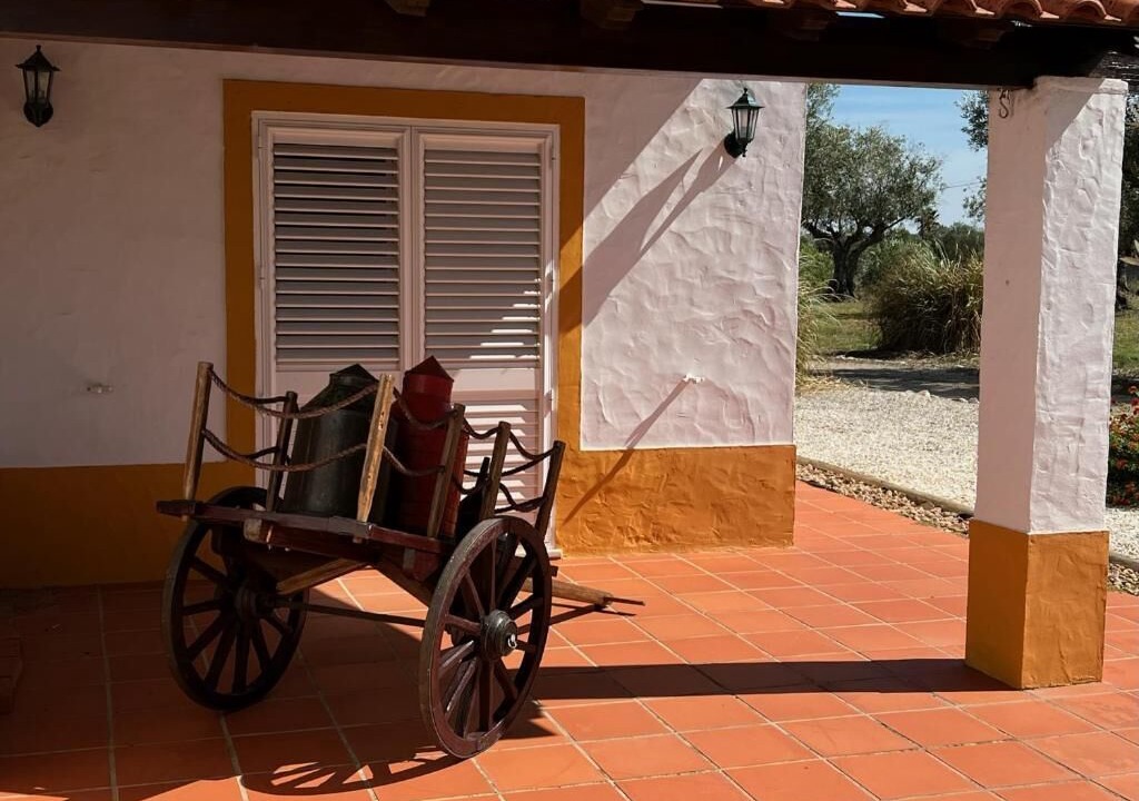 Photo of Patio Balcony in Avis