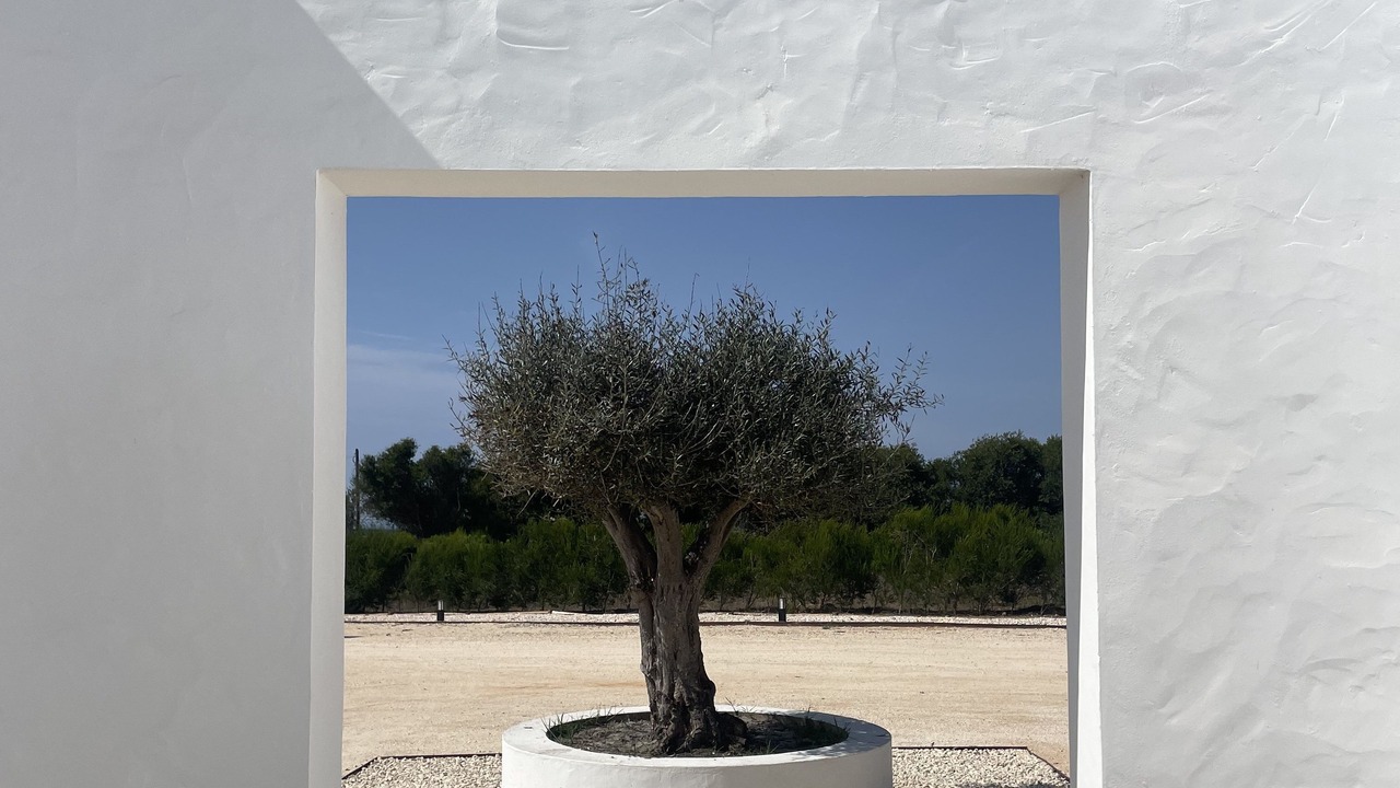 Photo of Outdoor in Sao Teotonio