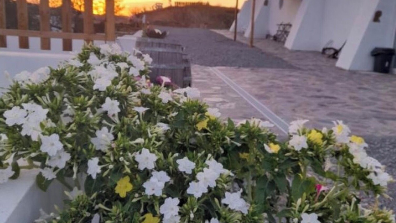 Photo of Outdoor in Alta Mora