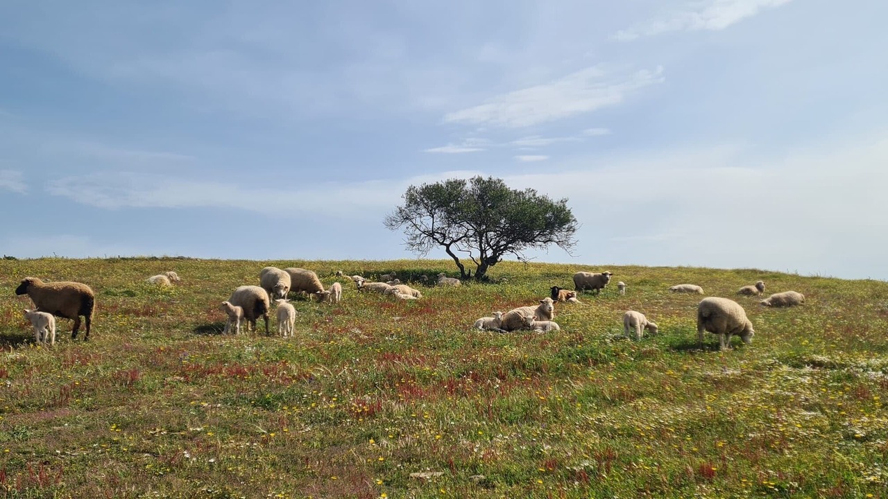 Photo of Others in Espirito Santo