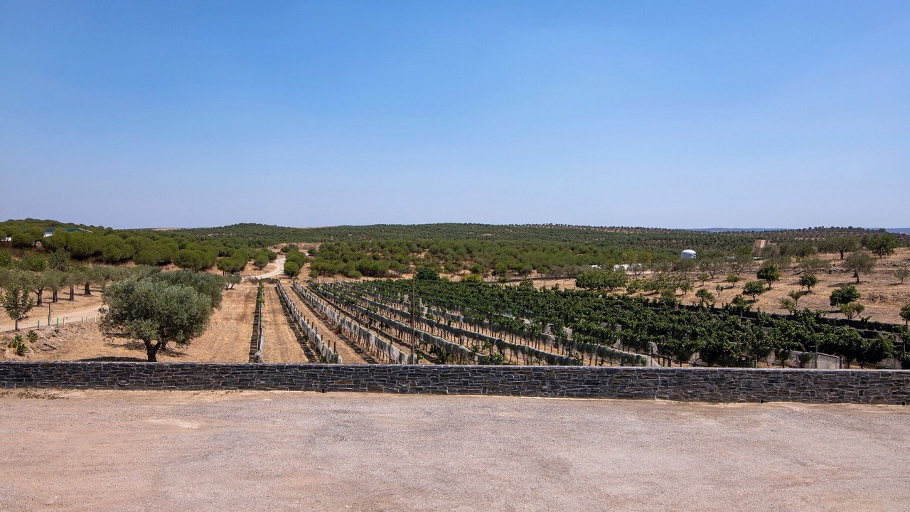 Photo of Others in Espirito Santo