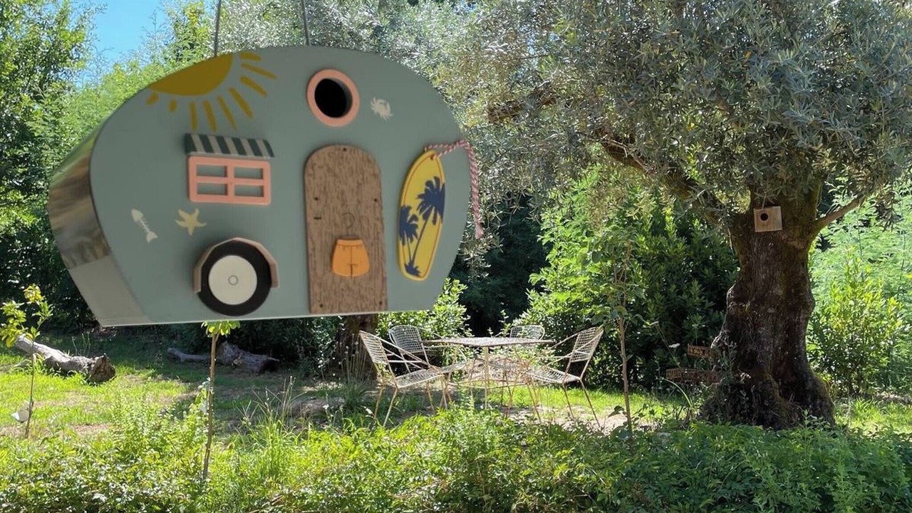 Photo of Outdoor in Tondela