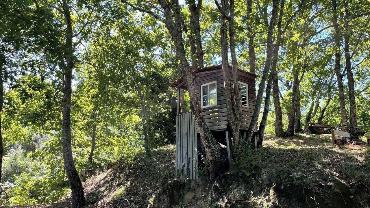Photo of Outdoor in Tondela