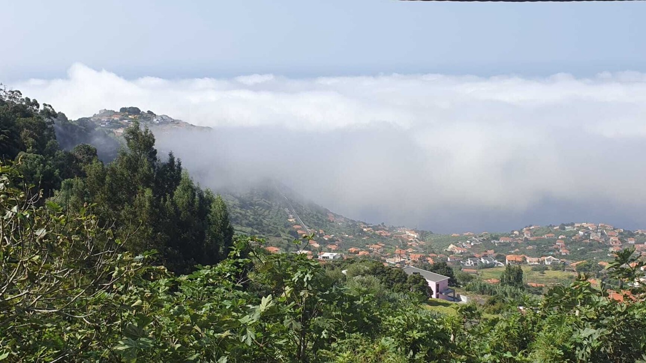 Photo of Others in Arco da Calheta