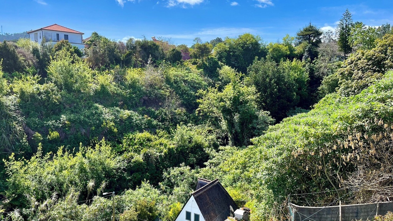Photo of Outdoor in Santana