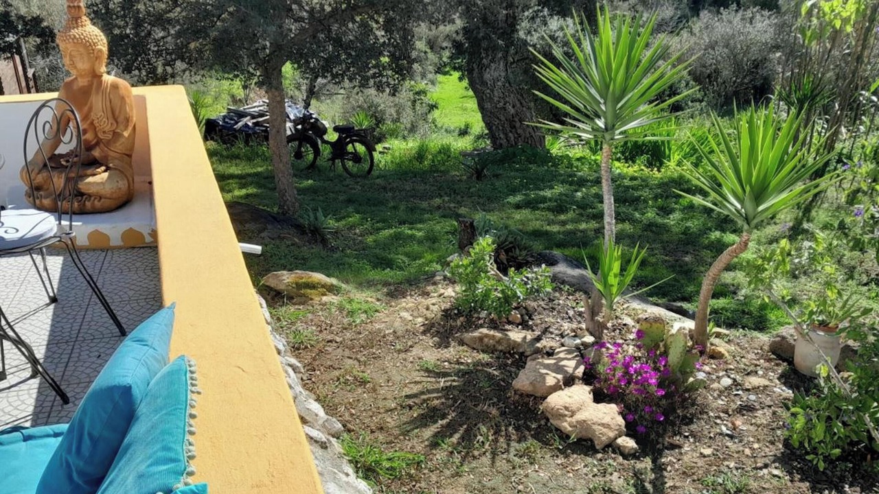 Photo of Outdoor in Alhadas