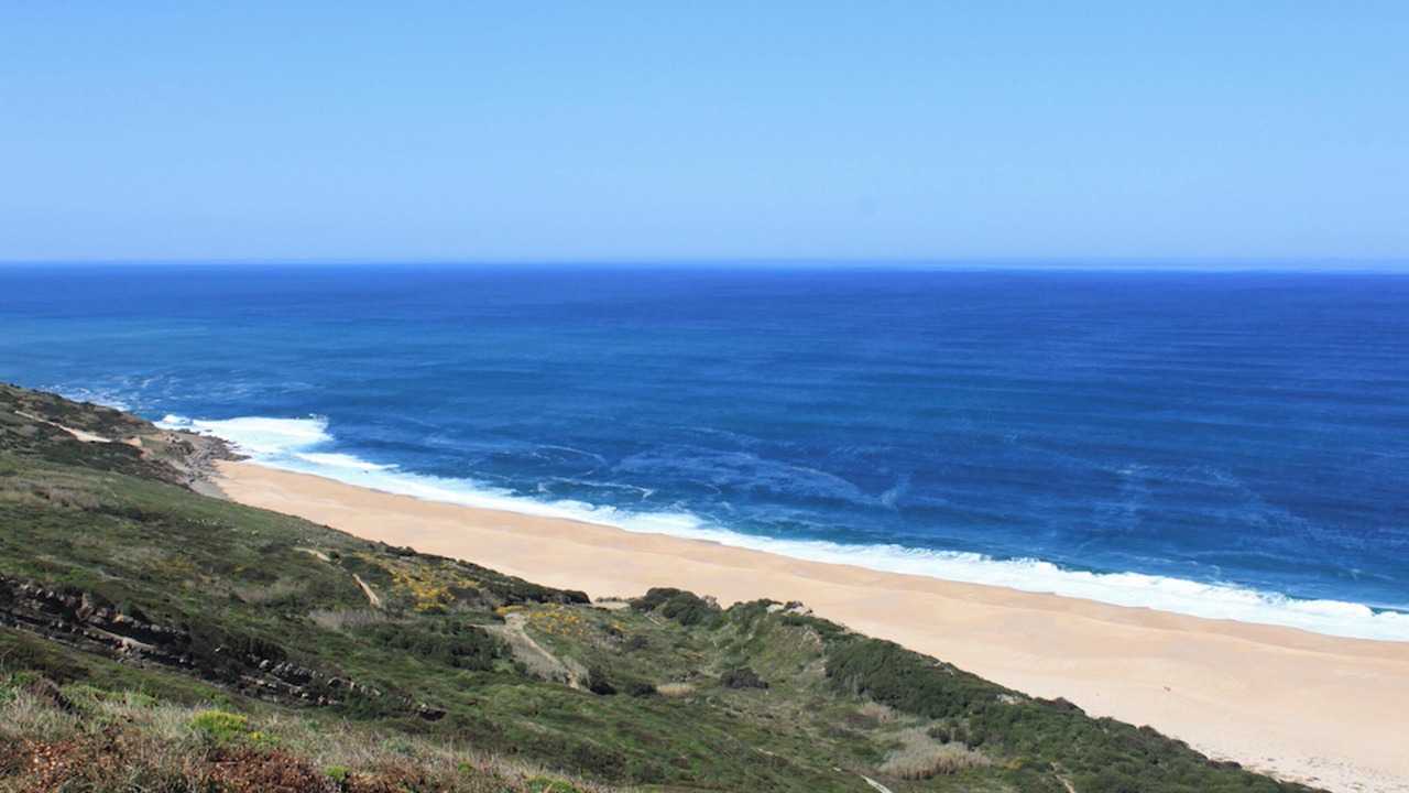 Photo of Others in Serra da Pescaria
