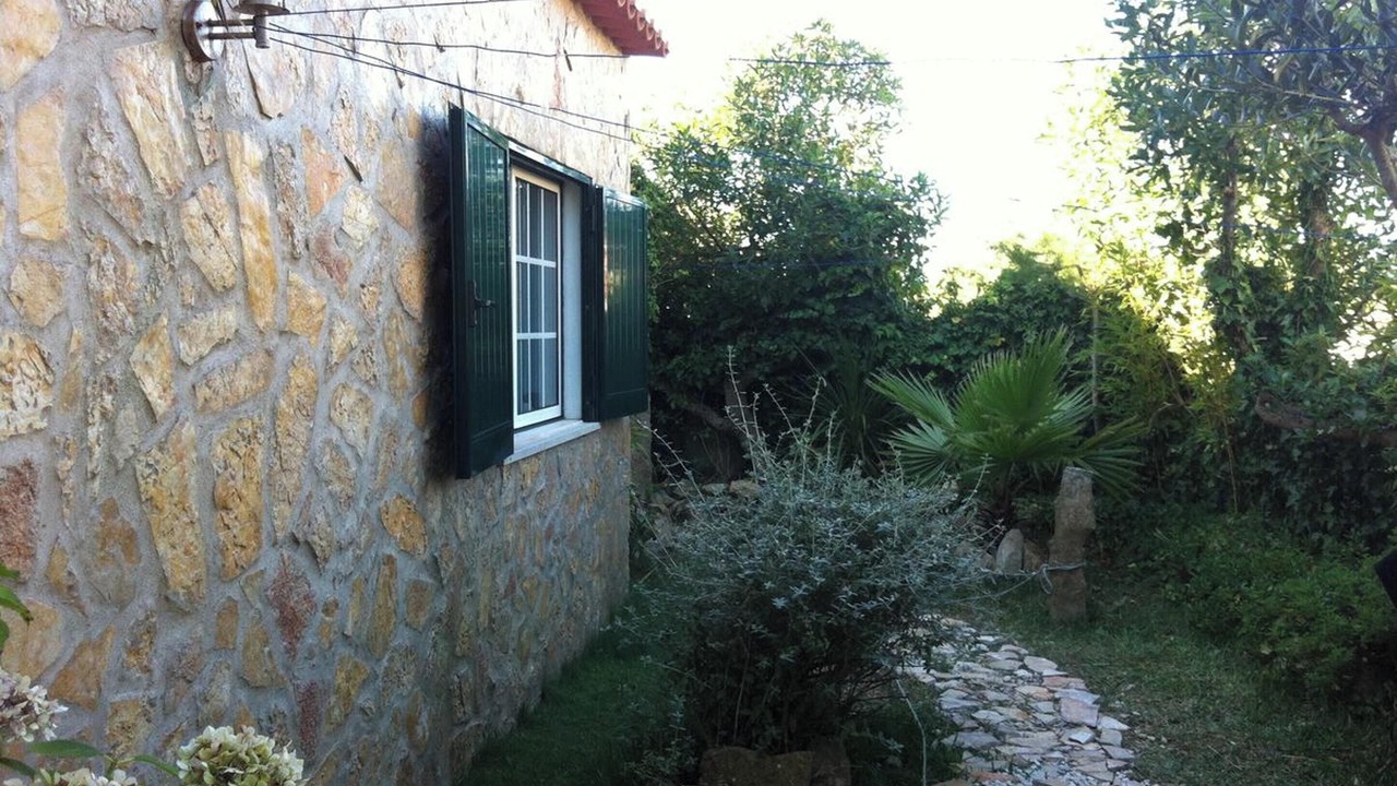 Photo of Others in Serra da Pescaria