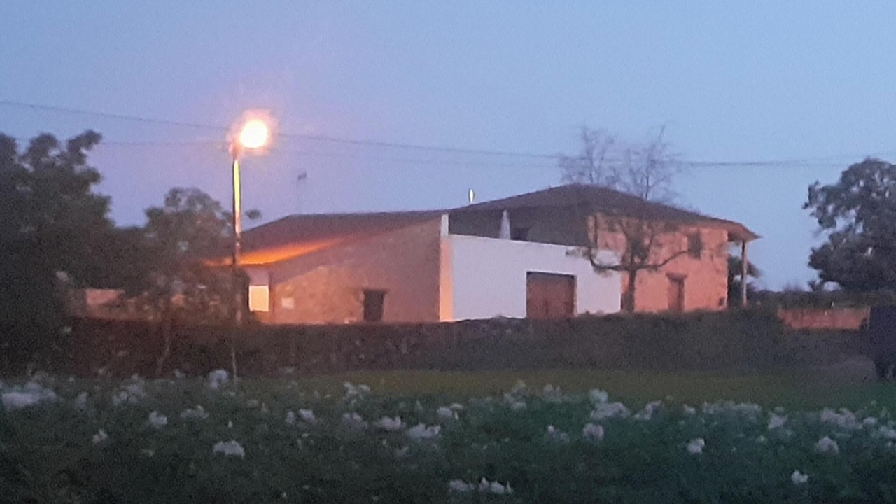 Photo of Others in Salsas