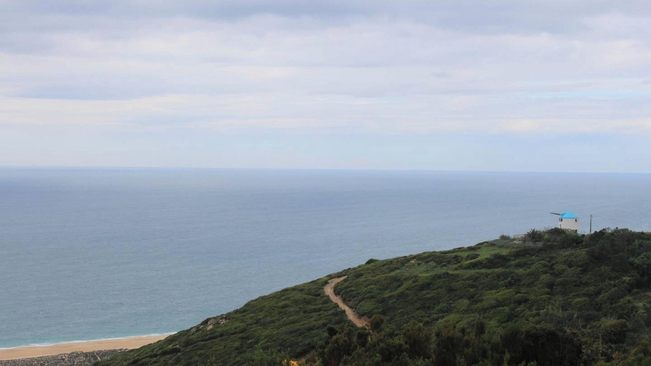 Photo of Others in Serra da Pescaria