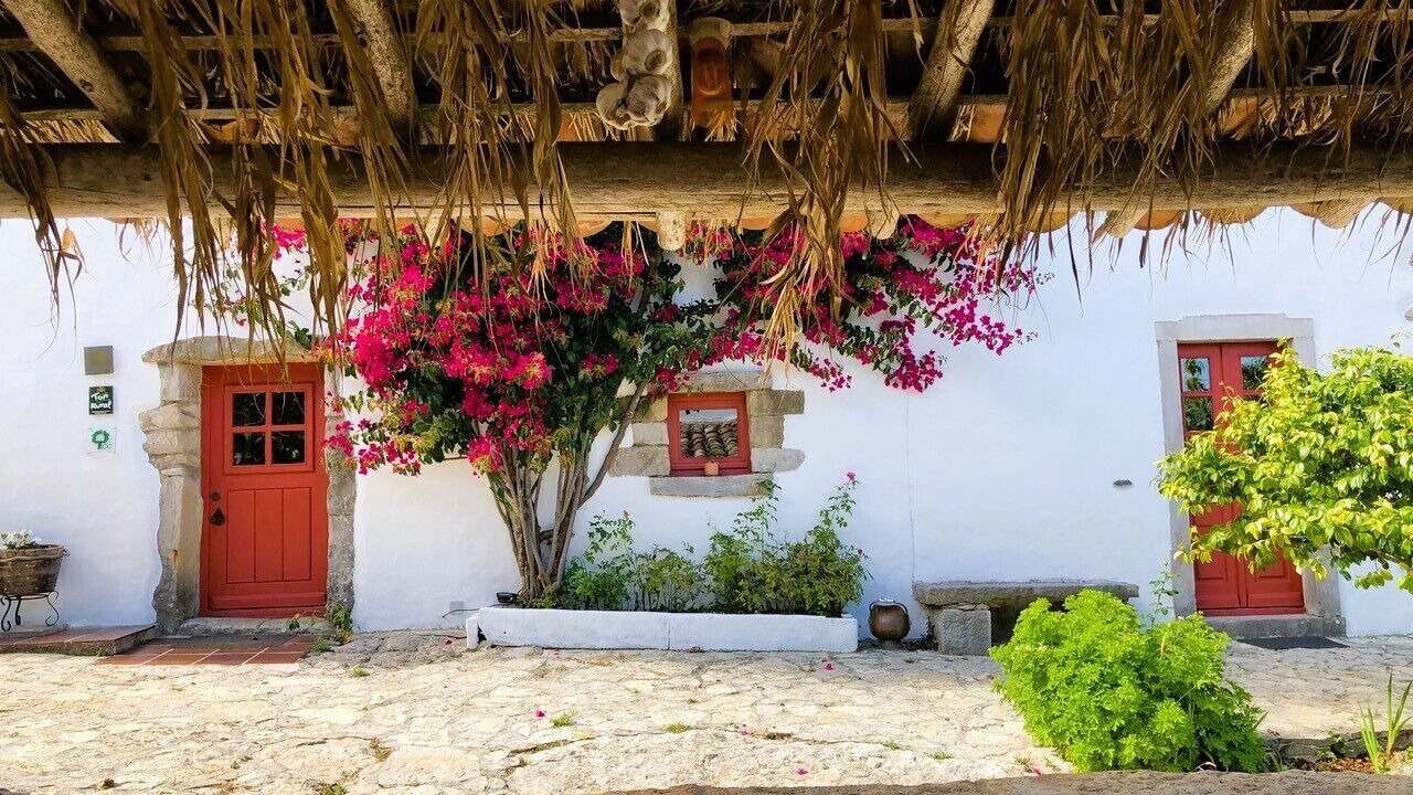 Photo of Outdoor in Lourinha