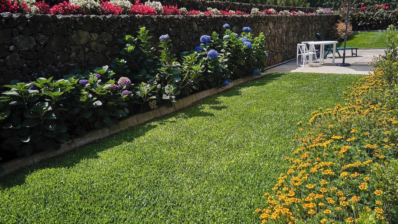 Photo of Outdoor in Ribeira Grande