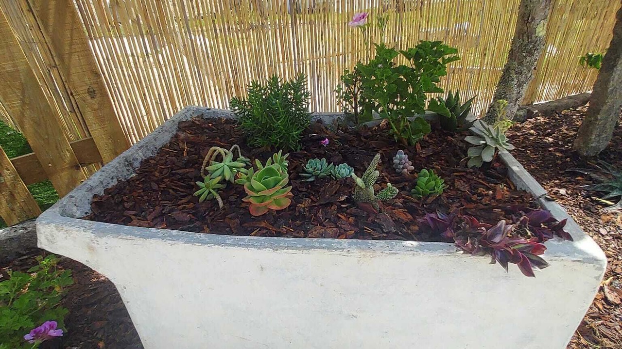 Photo of Outdoor in Cardielos