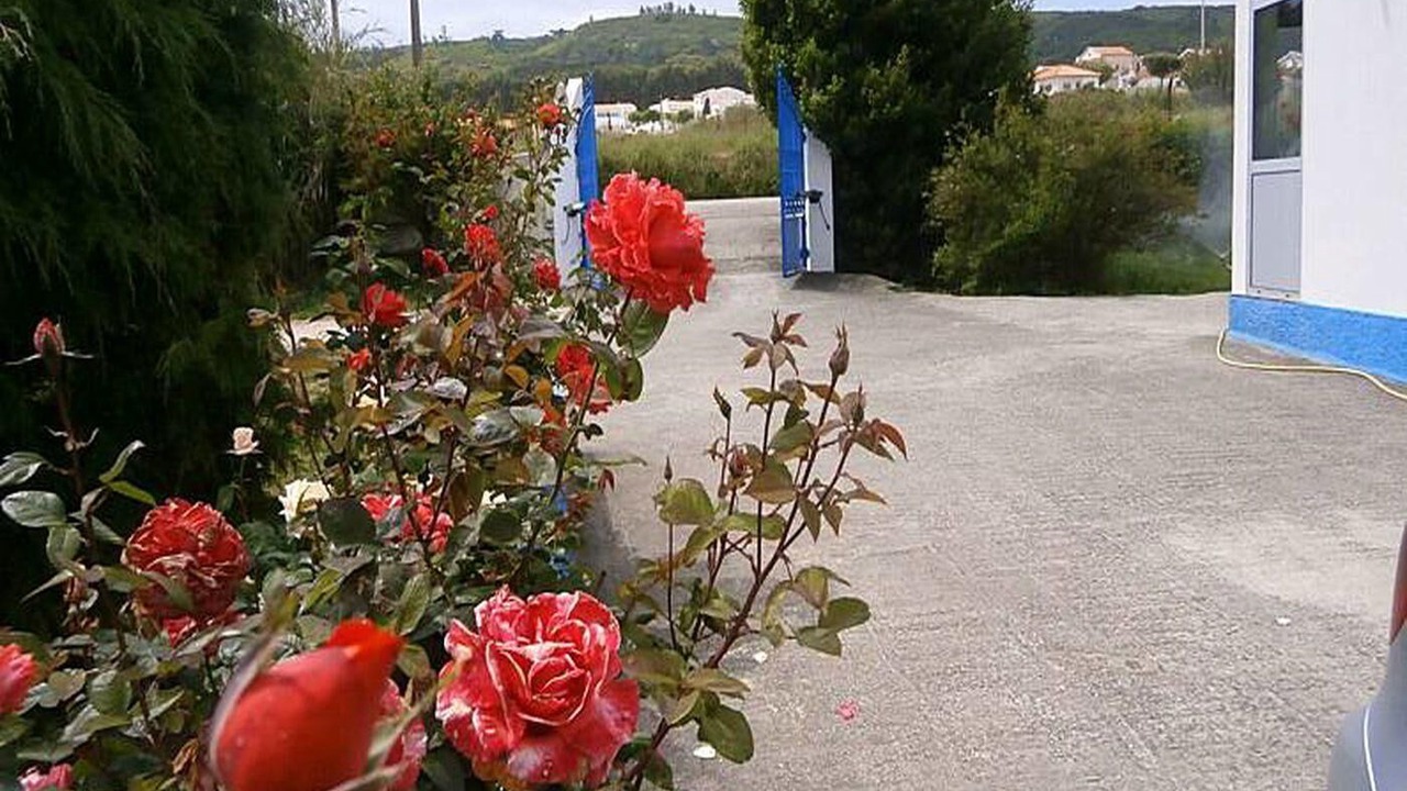 Photo of Outdoor in Famalicao