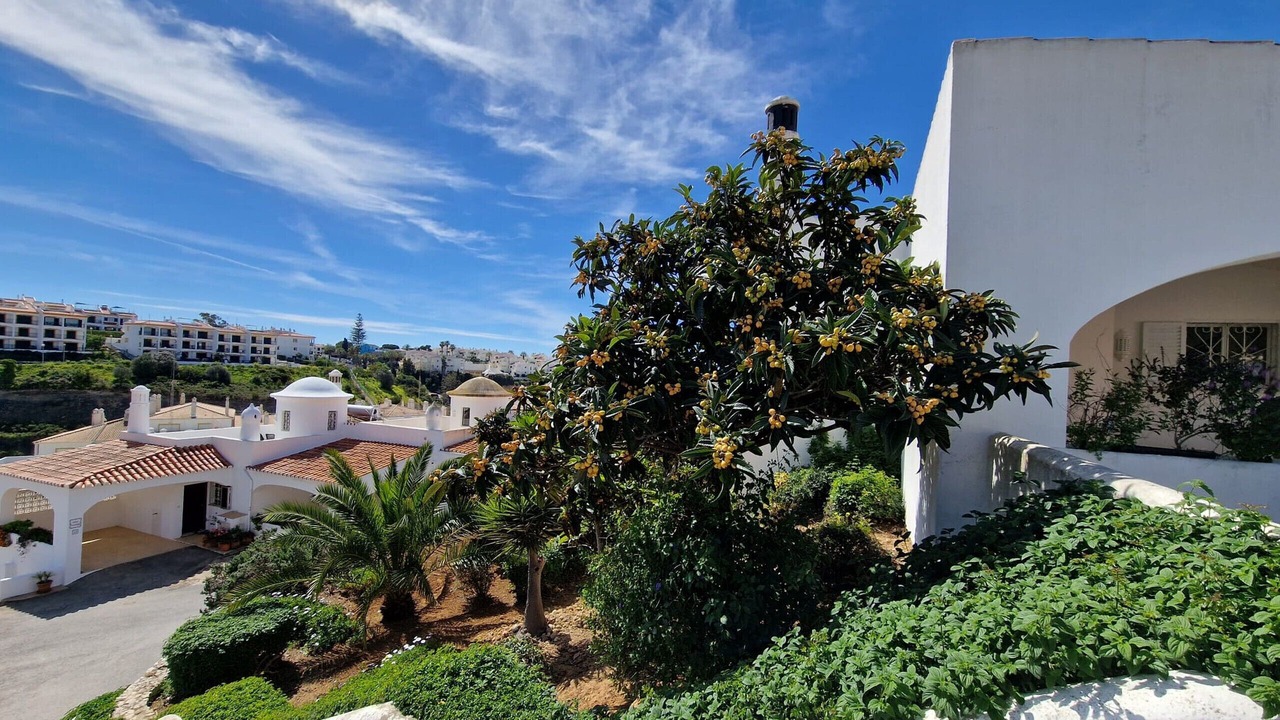 Photo of Outdoor in Mato Serrao