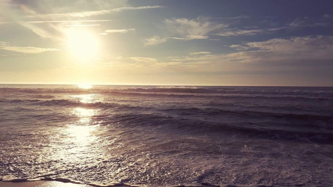 Photo of Others in Figueira da Foz