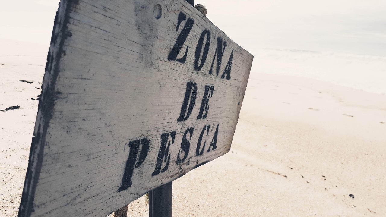 Photo of Others in Figueira da Foz