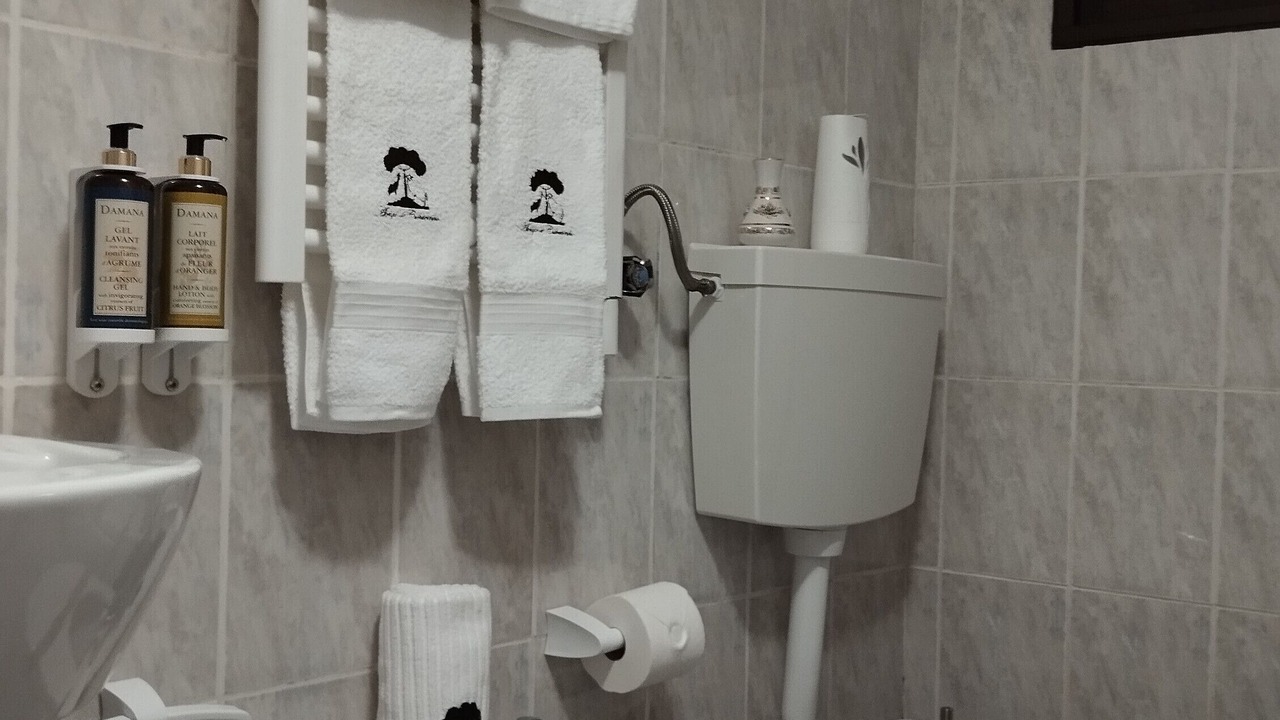 Photo of Bathroom in Covilha