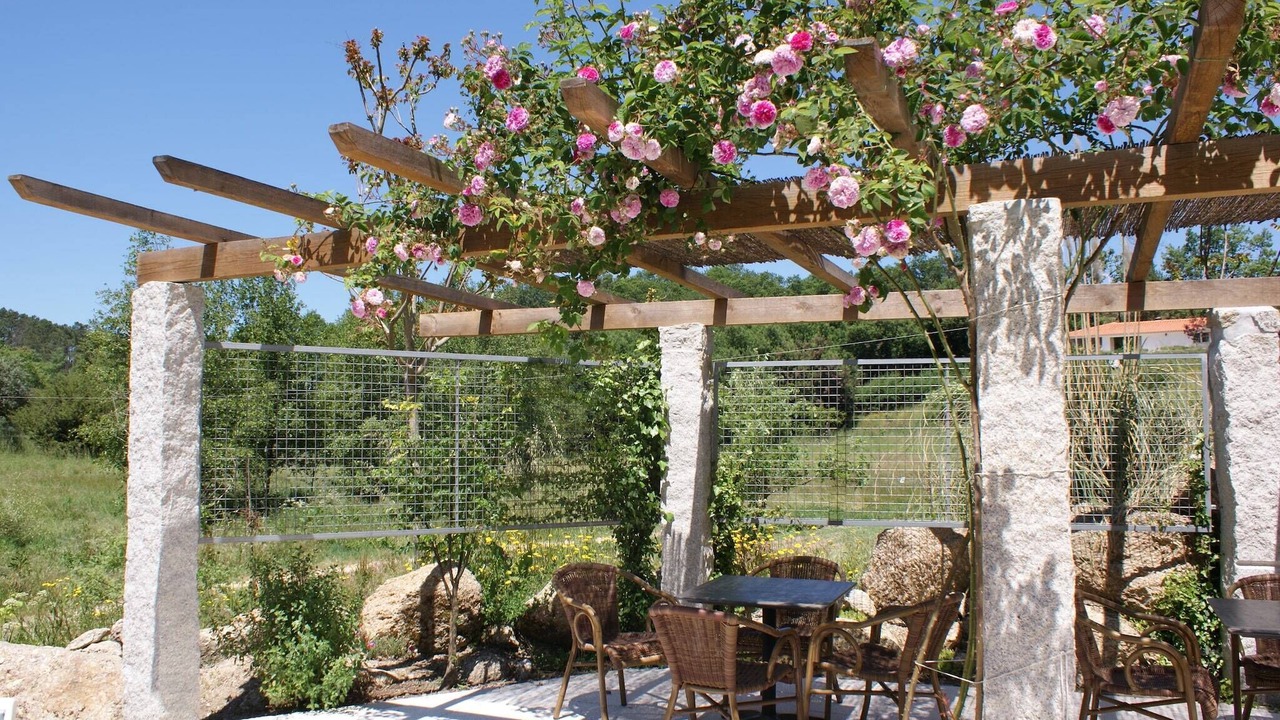 Photo of Outdoor in Covas