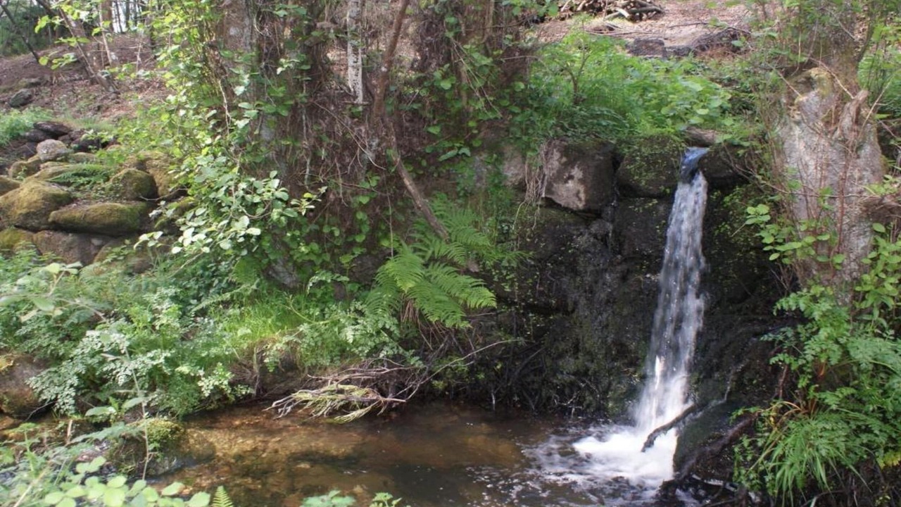 Photo of Others in Covas