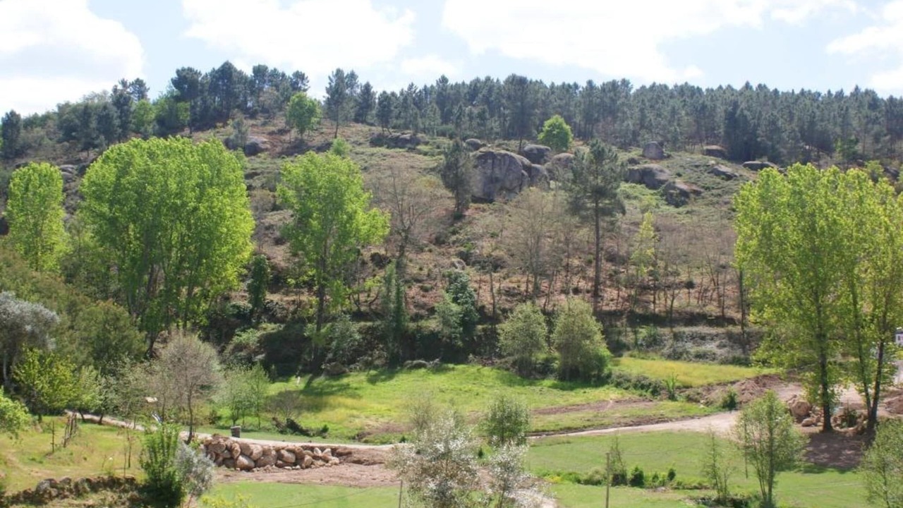 Photo of Others in Covas