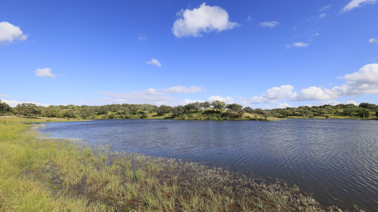 Photo of Outdoor in Malarranha