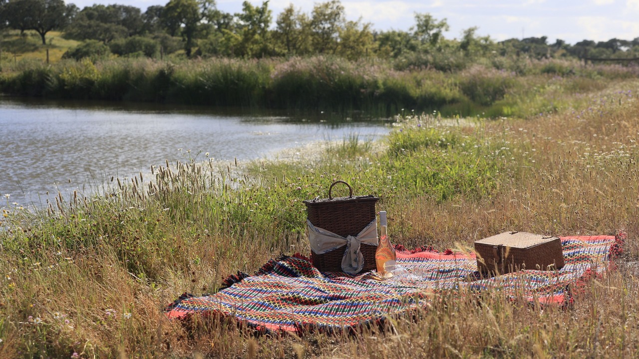 Photo of Outdoor in Malarranha