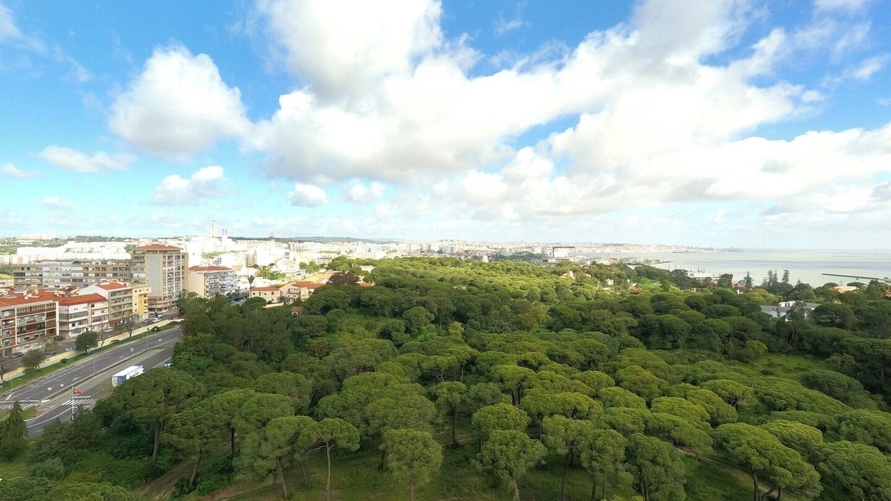 Photo of Others in Laranjeiro
