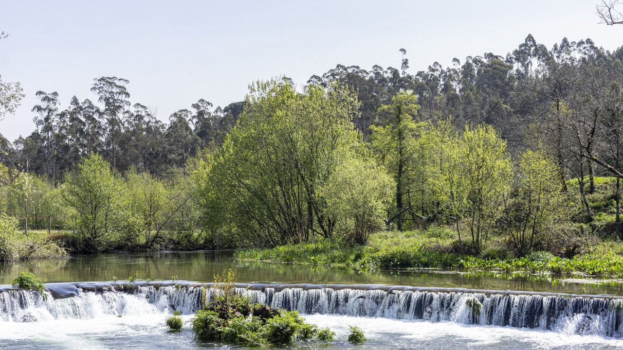 Photo of Others in Barcelos