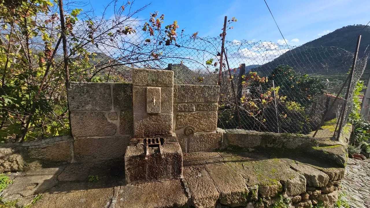 Photo of Others in Vila Nova de Foz Coa
