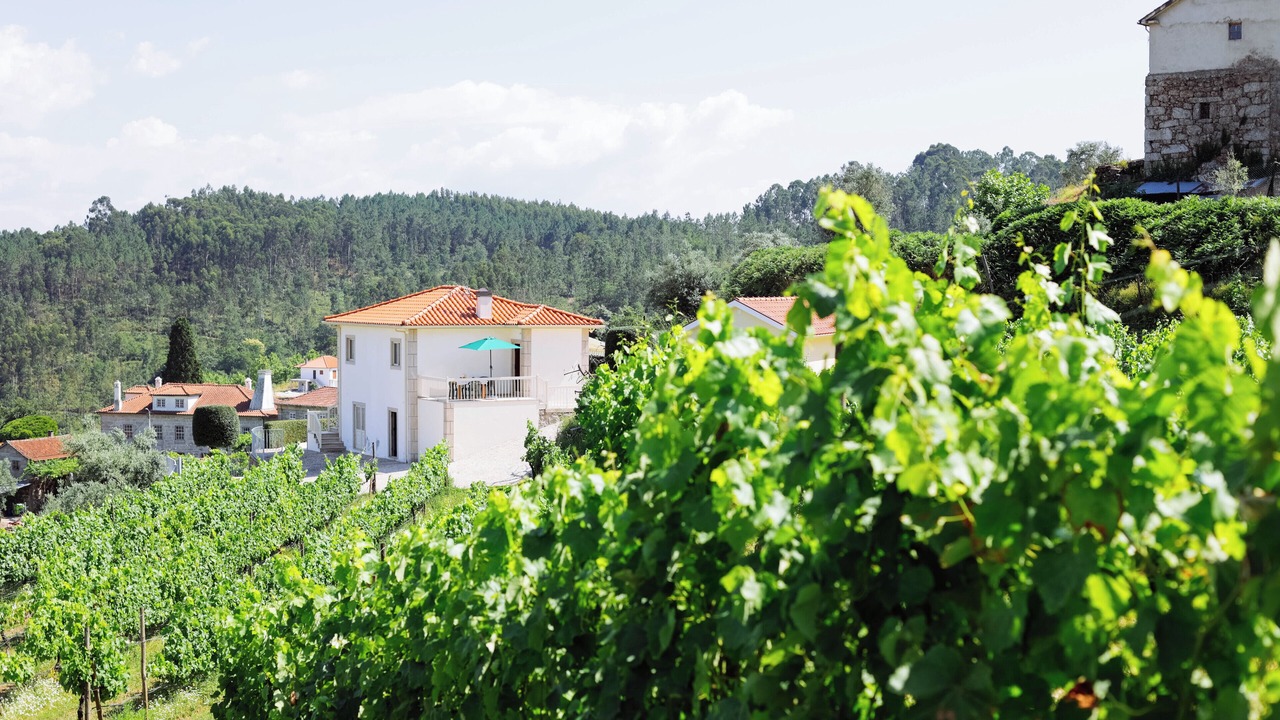Photo of Outdoor in Celorico de Basto