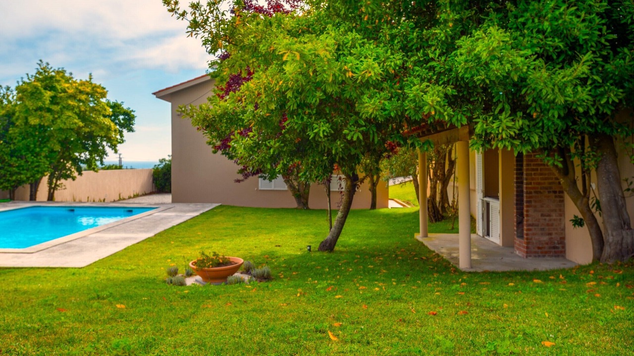 Photo of Outdoor in Afife