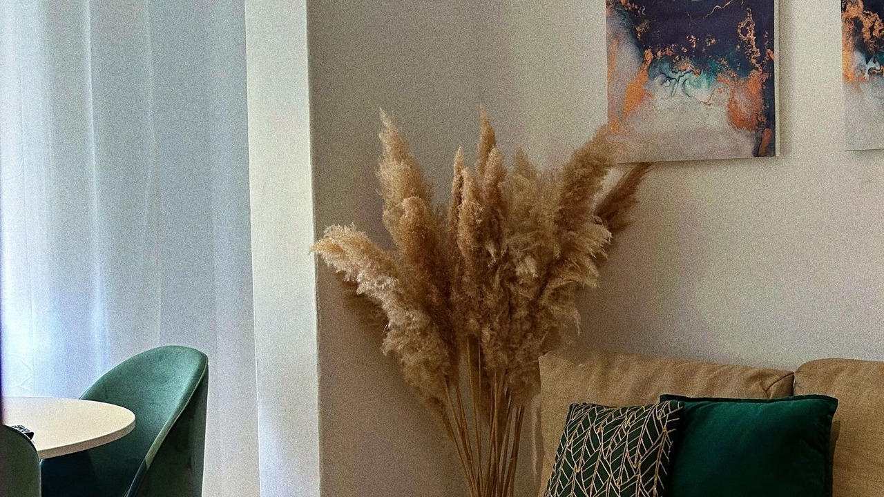 Photo of Livingroom in Seixal