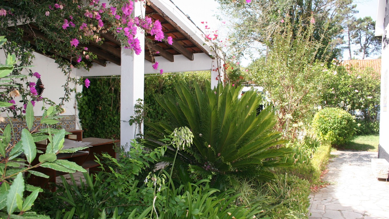 Photo of Outdoor in Castelo