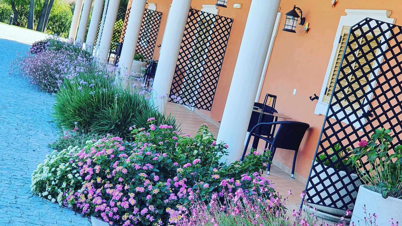 Photo of Patio Balcony in Aldeia dos Palheiros