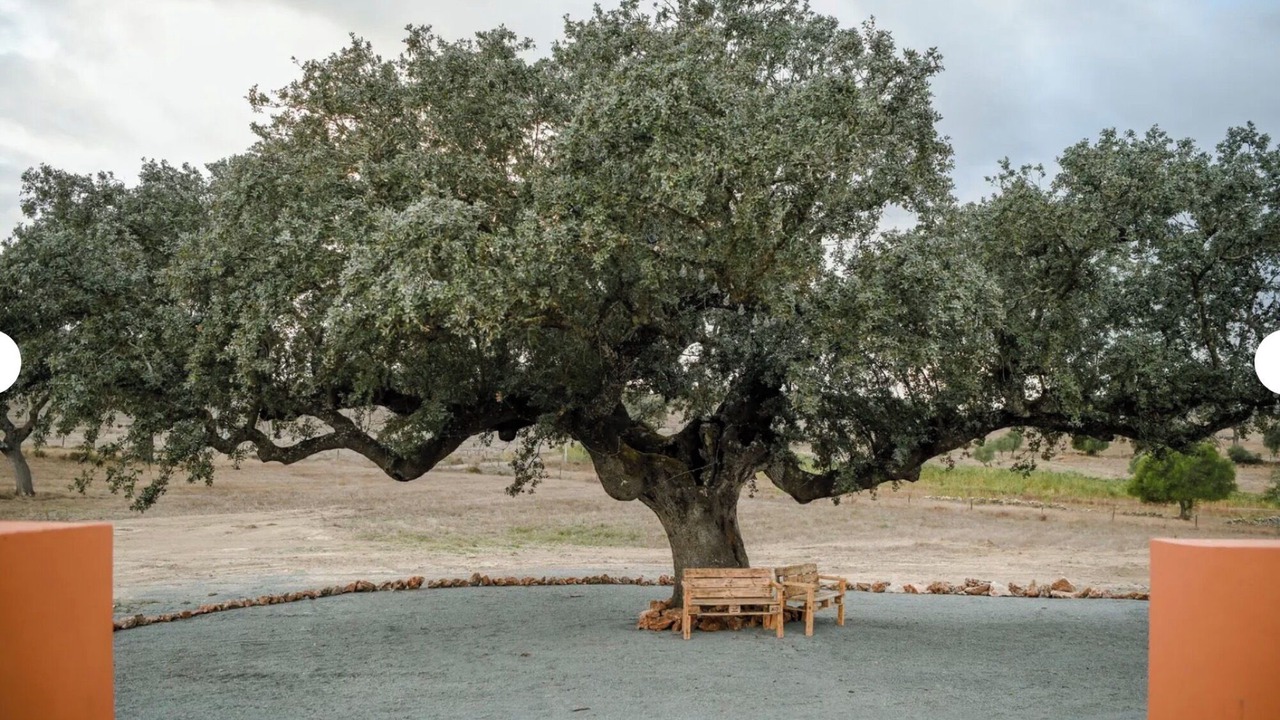 Photo of Outdoor in Aldeia dos Palheiros